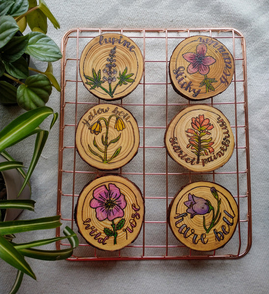 The entire Alberta Wildflowers Collection in one photo. It is six different wood slices that are wood-burned with designs of Lupine, Sticky Geranium, Yellow Bell, Scarlet Paintbrush, Wild Rose, and Harebell. They are arranged on a white background with two green plants on their left.