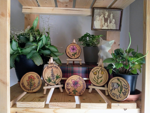 The entire Alberta Wildflowers Collection in one photo. It is six different wood slices that are wood-burned with designs of Lupine, Sticky Geranium, Yellow Bell, Scarlet Paintbrush, Wild Rose, and Harebell. They are staged on a wooden shelf with several plants, a family portrait, and a white ceramic fox figurine.