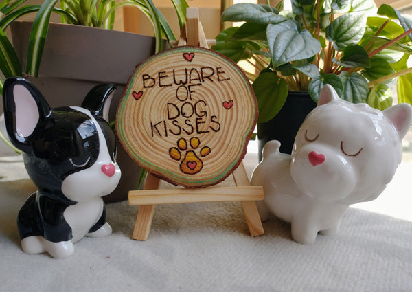 A staged scene with a wood-slice ornament in the center on a pedestal. It has Beware of Dog Kisses wood burned into it, and it is surrounded by green plants and two ceramic dog figurines.