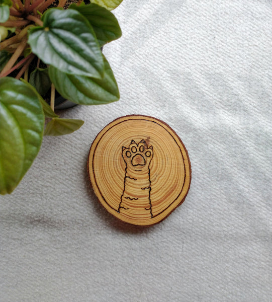 A fluffy cat paw design wood burned into a Cat Paw Wood Slice Coaster.