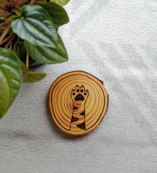 A Cat Paw Wood Slice Coaster  with a stripey paw design.