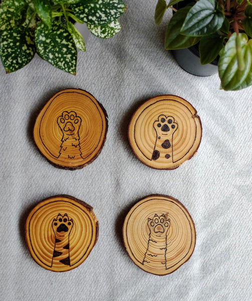 Four Cat Paw Wood Slice Coasters with four different cat paw designs wood-burned onto them. They are lying on a white background with plants.