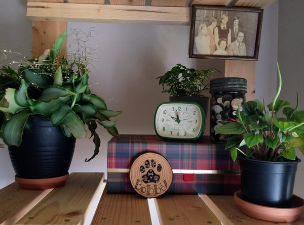 A wood-burned Dog Paw Print ornament in a staged scene. There are several green plants all around, along with a jar of mismatched buttons, a clock, and an old family portrait, all set up on a wooden shelf.