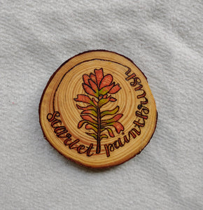 Scarlet Paintbrush - Wood Slice Ornament