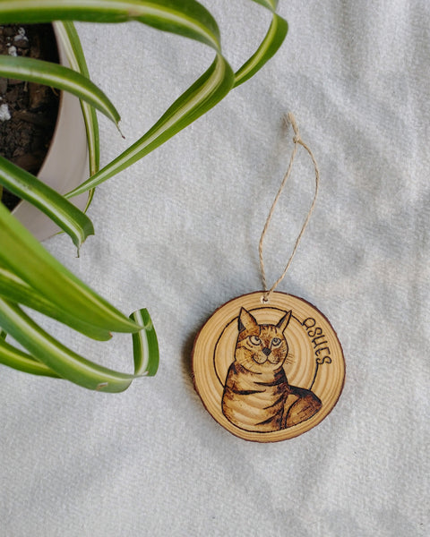 A Custom Pet Portrait Wood Slice Ornament of a cat named Ashes. The portrait is wood-burned onto the wood slice ornament, and it is lying on a white background with a green plant in the corner.