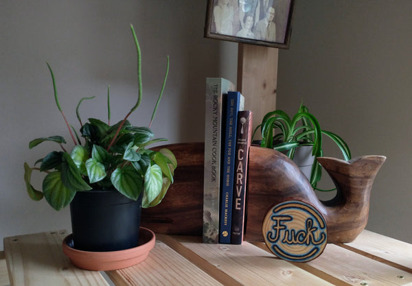 A wood slice ornament with the word Fuck wood-burned into it. It is staged on a wooden shelf with somes books sandwhiched between wooden bookends, some green plants, and a family portrait.